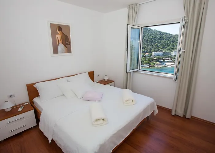 Vista 2 *